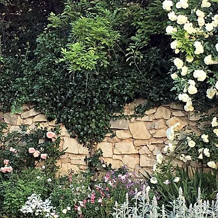 Cote Jardin Bed & Breakfast Nîmes